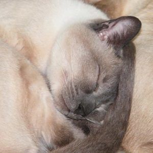 Meet your Posher, Lynn